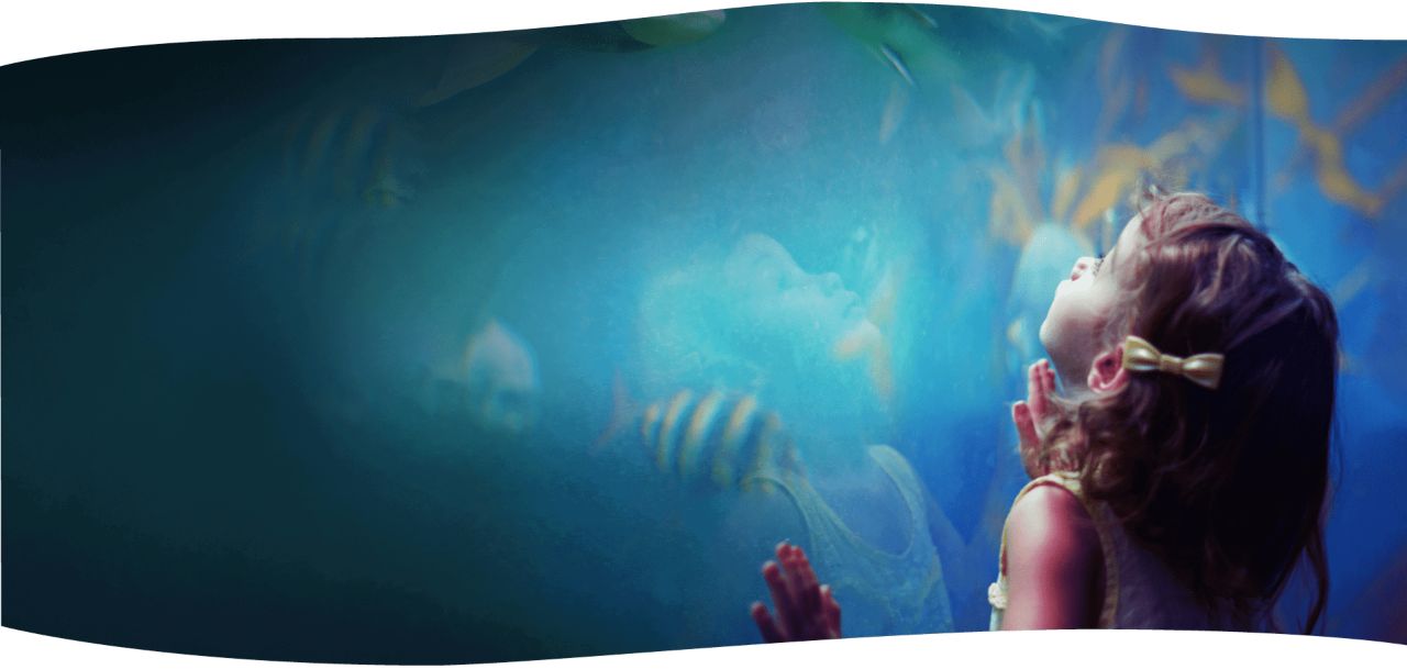 Palma Aquarium – Big Blue Haifischbecken